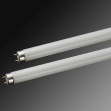 High Quality Aquatic