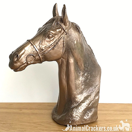 David geenty bronze - david,