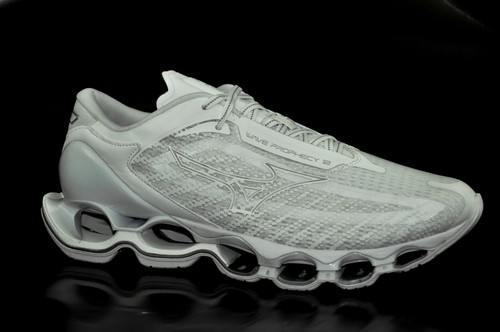 Mizuno wave prophecy - prophecy, 12