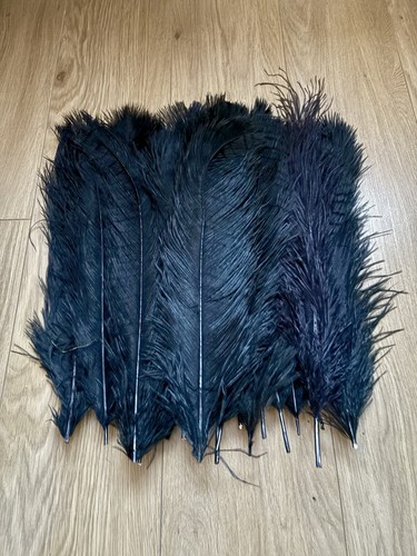 20x ostrich feathers - feathers, black