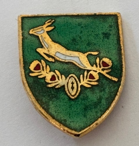 South africa rugby lapel - south,
