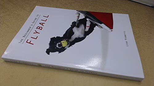 The beginner guide to - the,