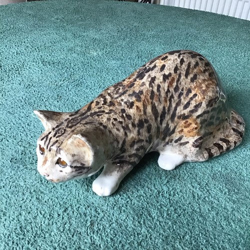 Winstanley tiger like - winstanley, tabby