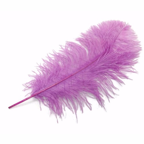 Ostrich feathers lilac 10 - ostrich,