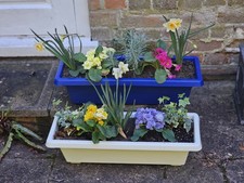 60cm Plastic Flower & Plant