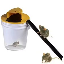 Mouse Trap Bucket Lid Mouse
