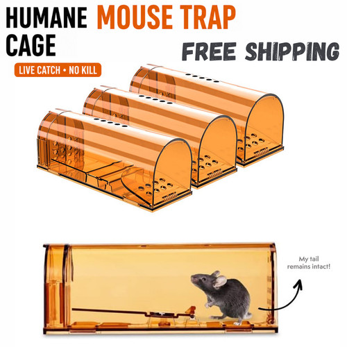 Humane mouse trap - humane, cage