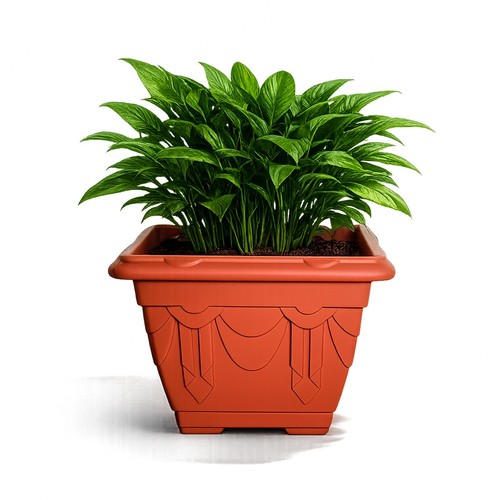 Venetian style plant - plant, flower