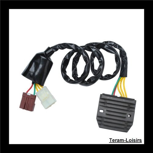 Teram loisirs voltage - loisirs,