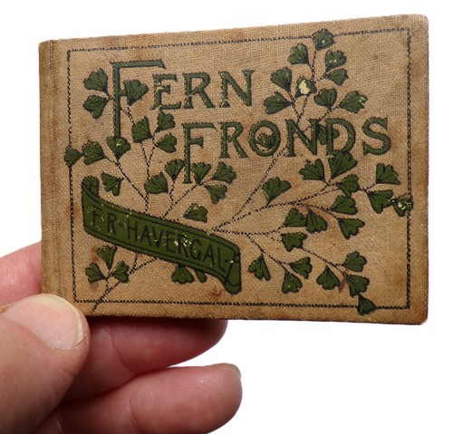 1885 fern fronds - 1885,