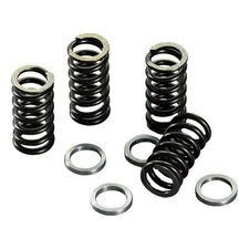Polini Clutch Springs