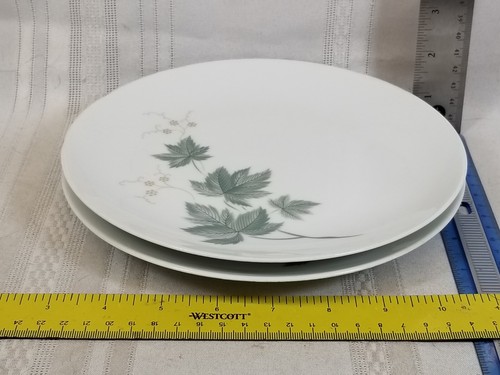 Noritake china cook serve - china,