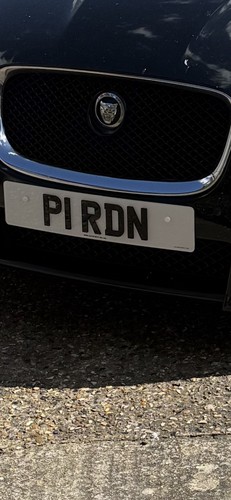 P1rdn number plate - number,