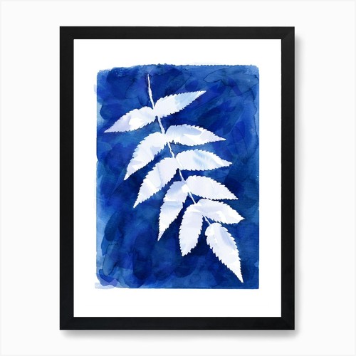 Cyanotype botanical art - botanical, 4