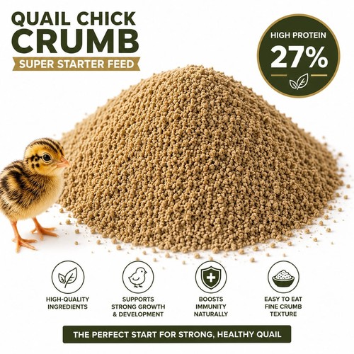 Superstarter quail partridge - superstarter, &