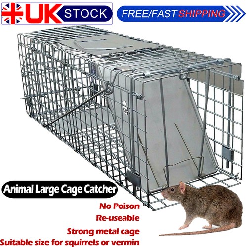 Cat trap for stray - cat,