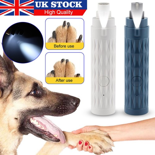 New electric dog - new,