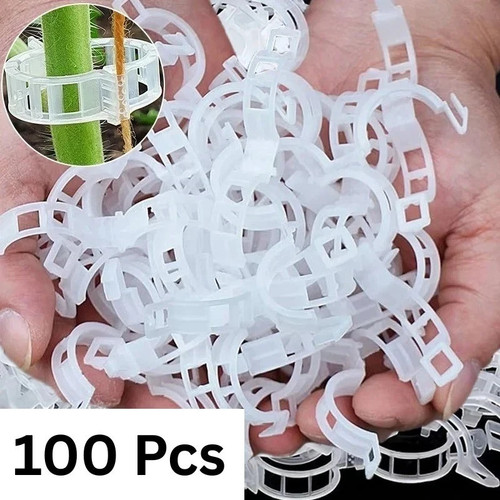 100x clip tomato and - 100x,