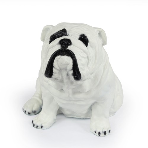 Bulldog english - bulldog,,