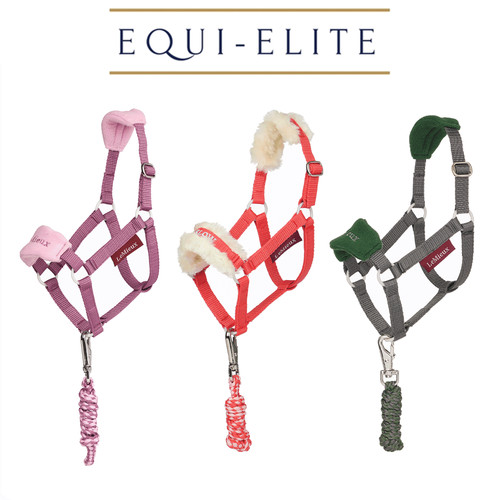 Lemieux hobby horse vogue - horse,