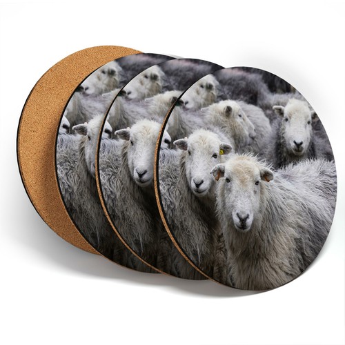Coasters flock of - x,