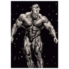 Jay Cutler Poster