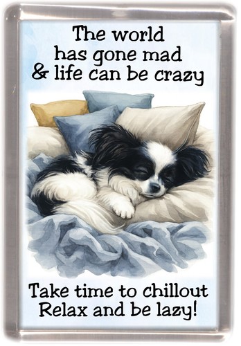Papillon butterfly dog fridge - butterfly,