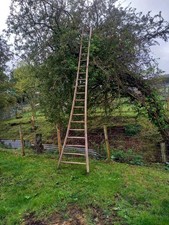 2x Vintage Fruit Ladders
