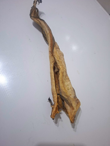 Dried stock fish - dried, (medium