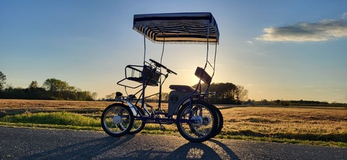 Surrey bike single - bike, bench