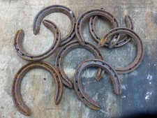 1 Genuine Pony Shoe Horseshoe