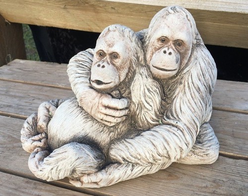 Orangutan couple garden - -,