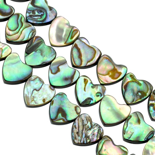 Green abalone shell mother - abalone,