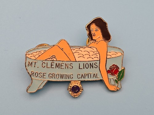 Pin badge lions - pin, club