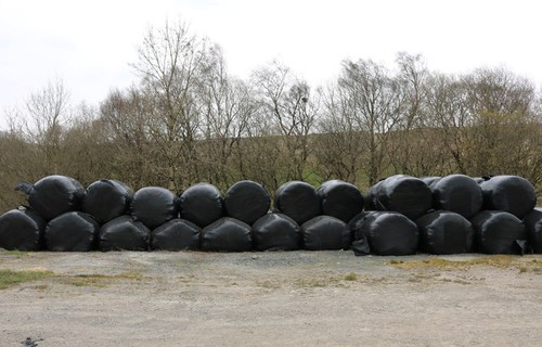 Photo 6x4 silage - photo, bales