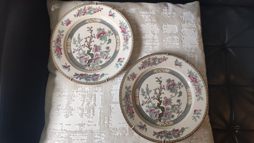 Wedgwood indian tree - &,