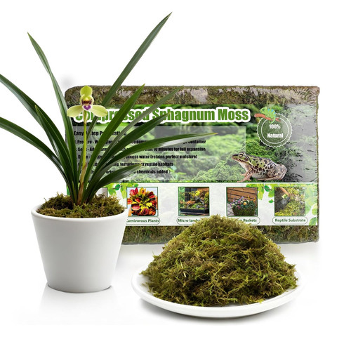 Premium sphagnum moss 150g - premium,