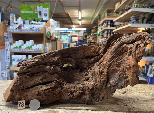 Medium natural bogwood - medium,