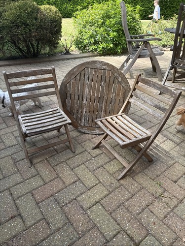 Alexander rose kids garden - rose,
