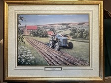 Ferguson TE20 Grey Picture By