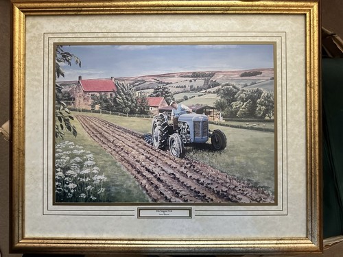 Ferguson te20 grey picture - te20,