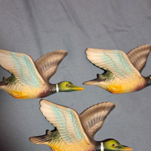 Set flying duck wall - of,