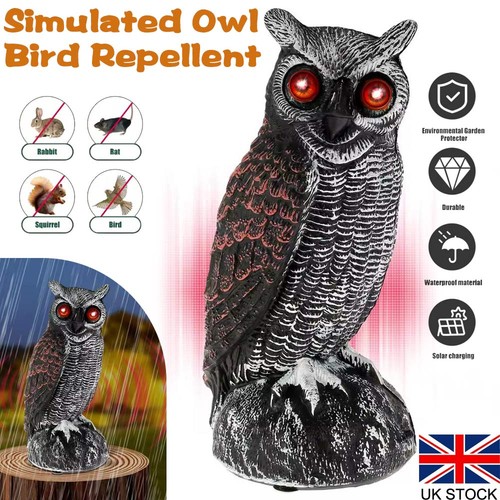 Solar owl decoy deterrent bird - solar,