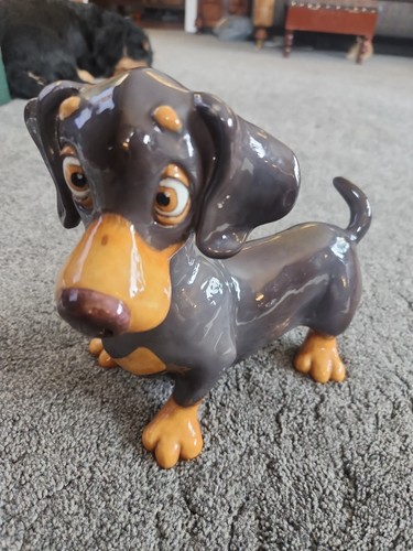Arora design pets - arora,