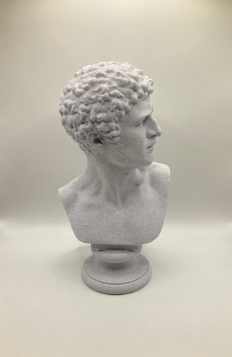 Classical sculpture male bust - sculpture,