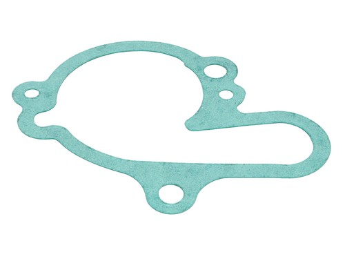 Cpi water pump gasket - 50,