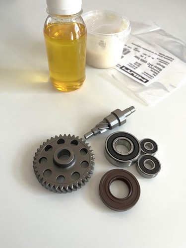 Eccentric gear armature pinion - gear,