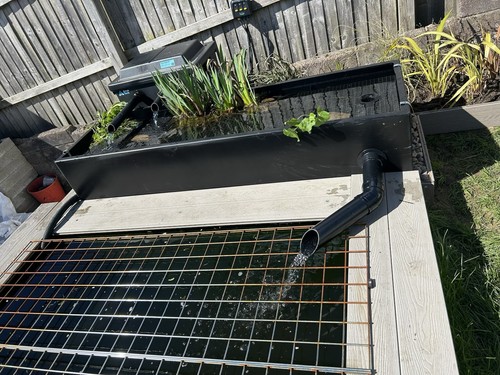 Fibreglass bog filter pond - fibreglass,