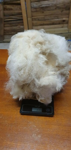 100 staple raw white - gm,