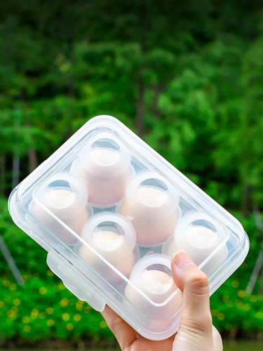 Grid egg holder box - holder,